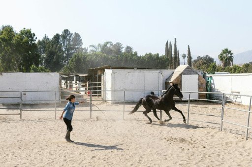 Equestrian Entertainment on Netflix